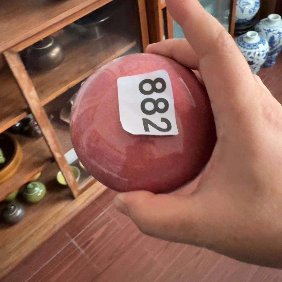 信***念豇豆红啊啊啊啊啊啊