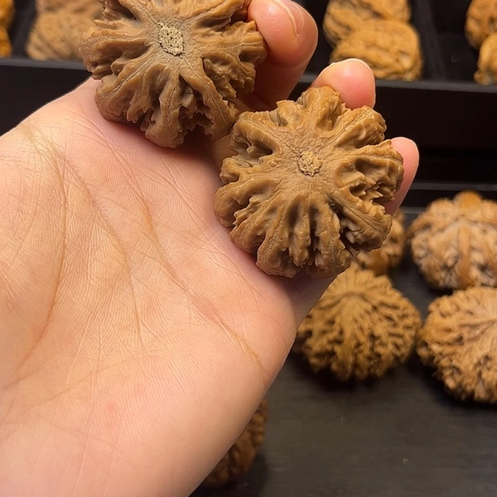 @***打核桃秦岭突突突突突突突