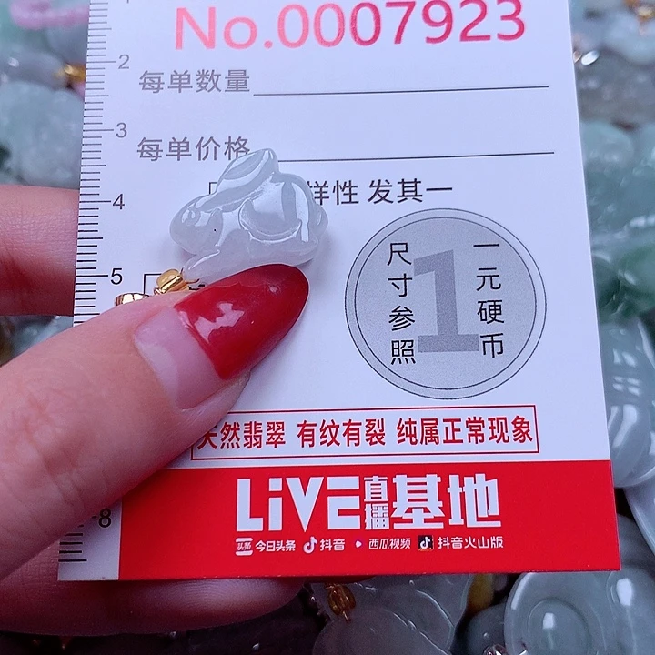 翡翠未镶嵌颈饰7923