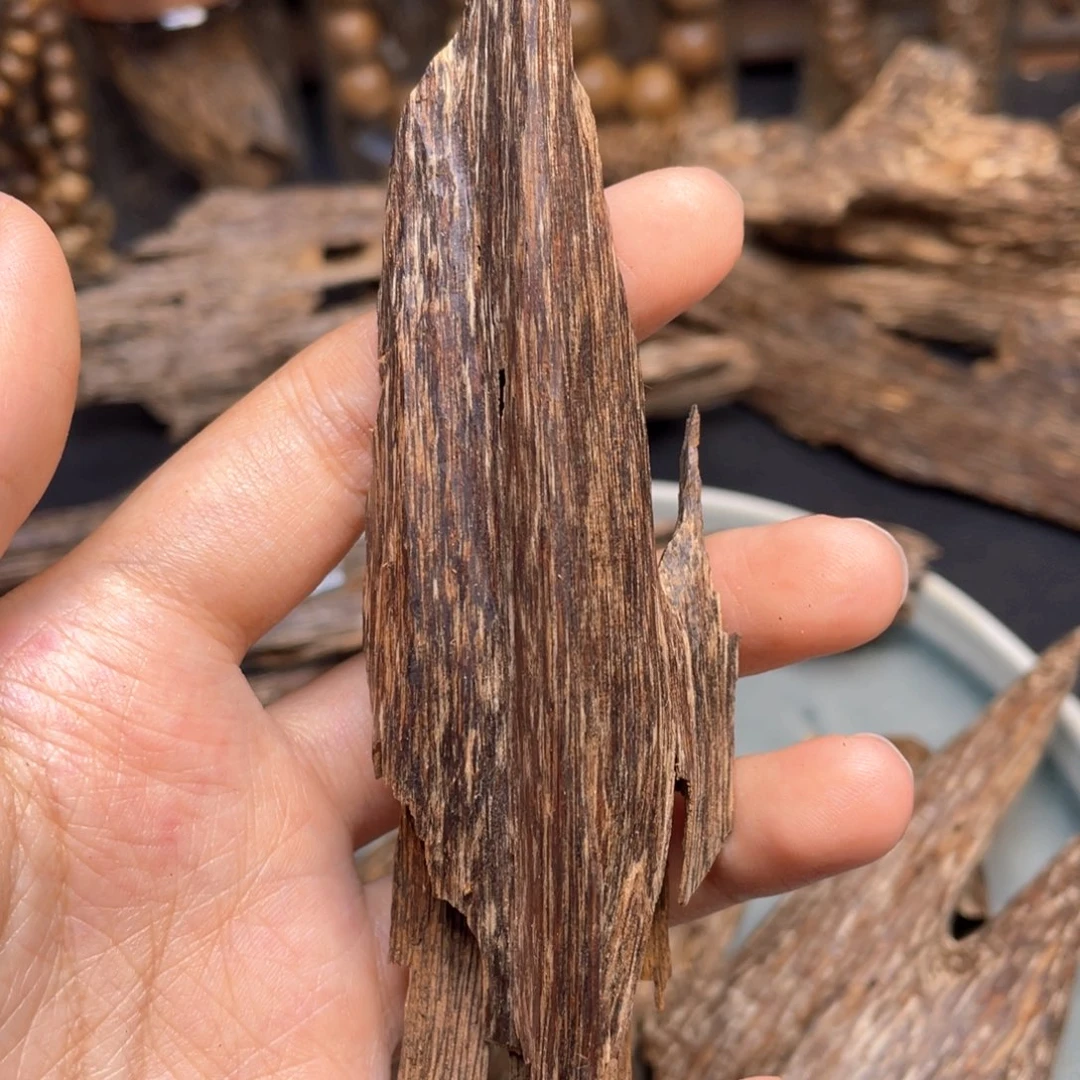 香榧木6克海南尖峰岭树心老虫漏