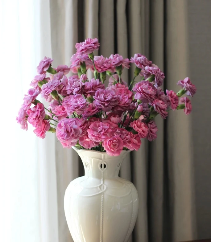 【新疆花之溪】野马多头康乃馨（17-20枝）其中5枝不售后