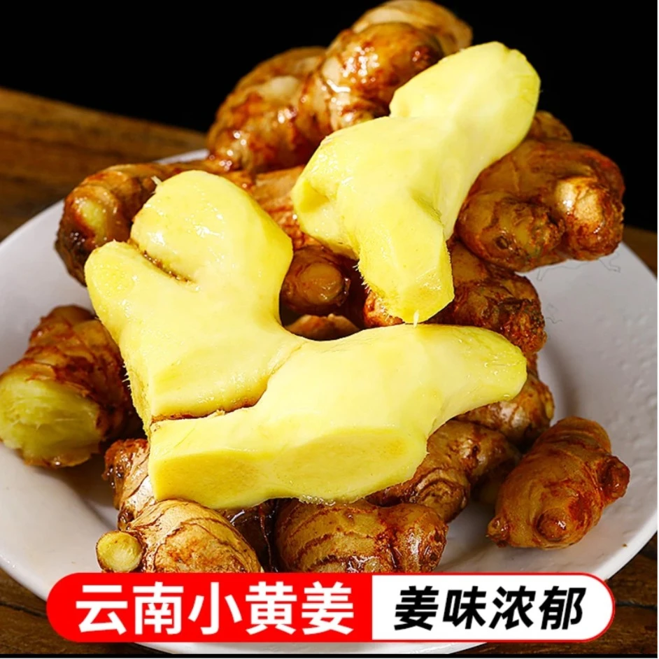 云南小黄姜老姜生姜新鲜黄姜子姜嫩姜鲜姜小黄姜