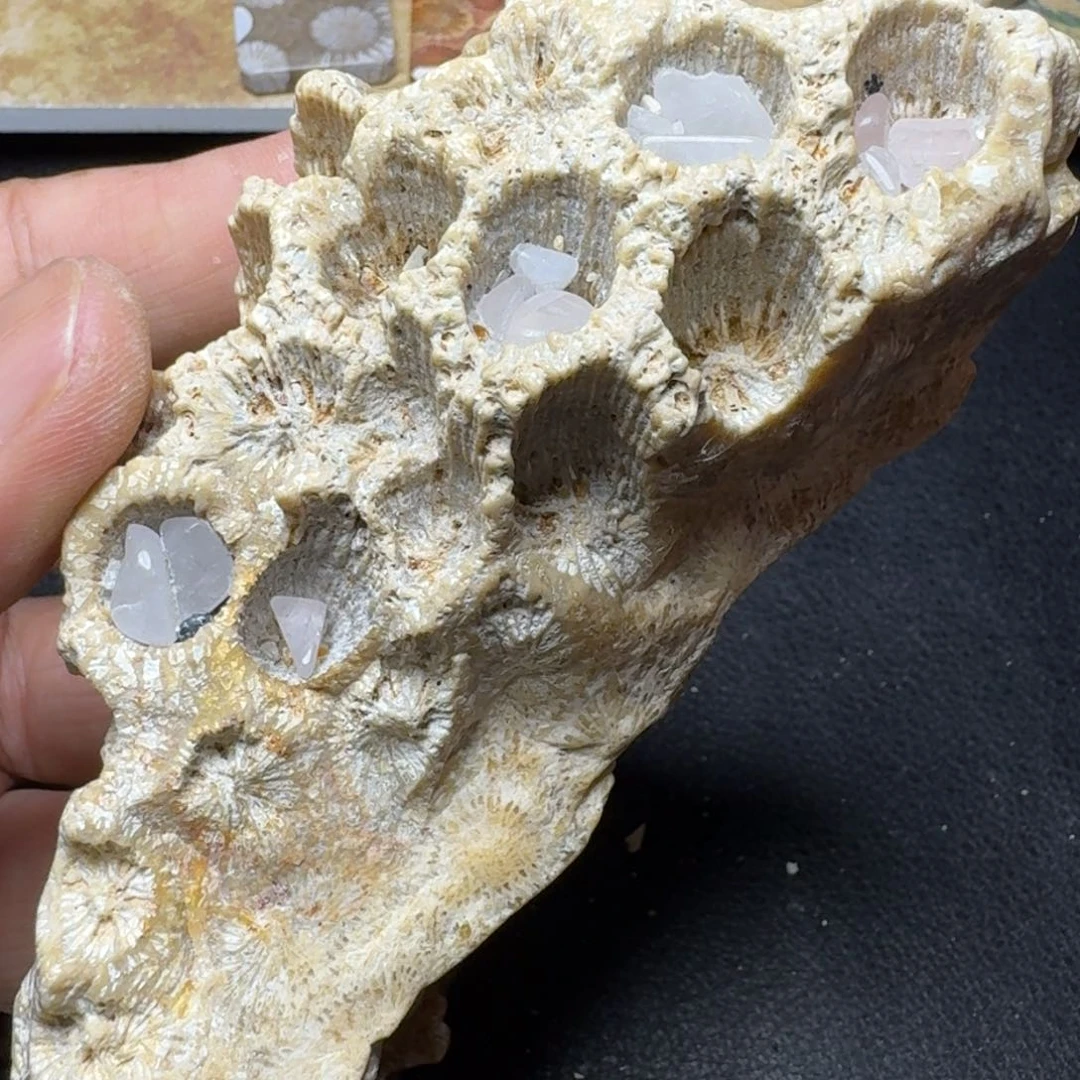 硅化玉纯天然色有机玉石保真色片料未镶嵌