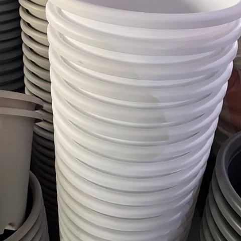 树脂四季6号5个无托白