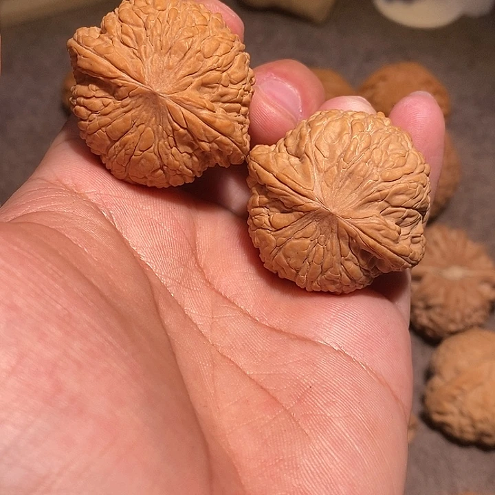 核桃手串/手链41全品泥鳅背