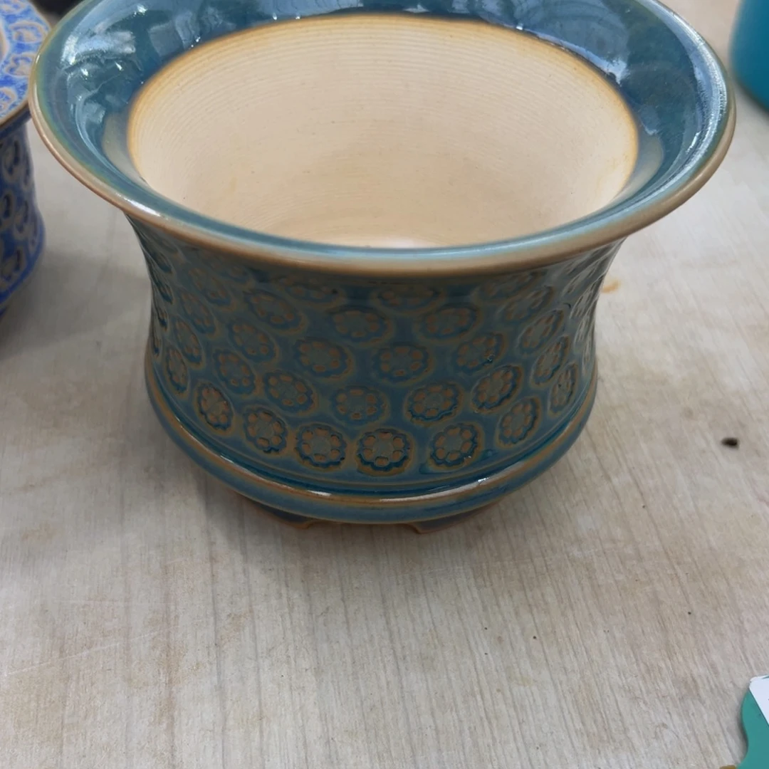 随**?多肉一物一拍0708-45