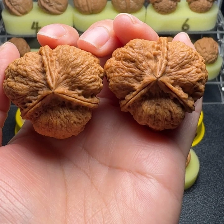 把件文玩核桃26号车
