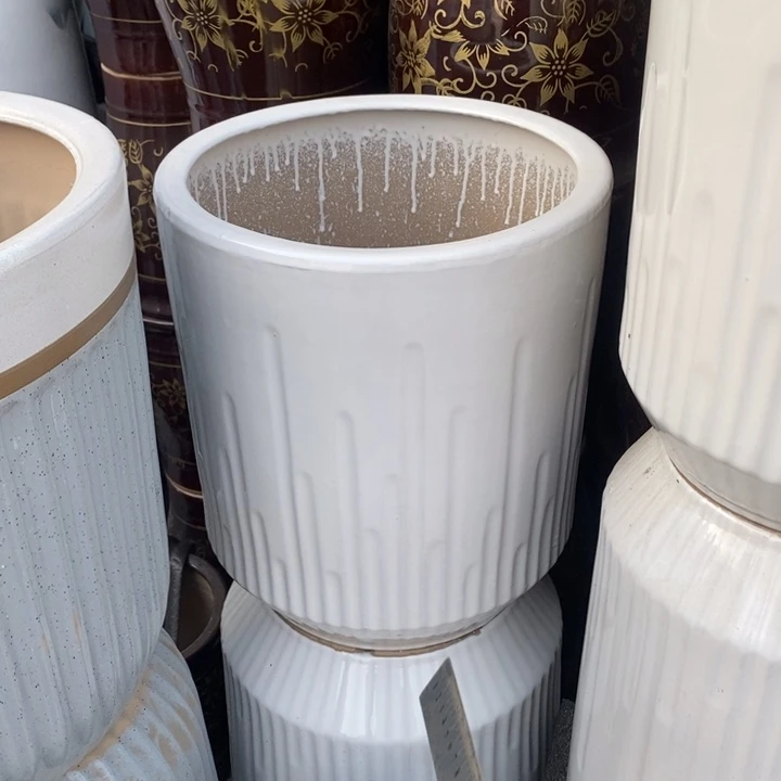 低腰白音符大号口33/36