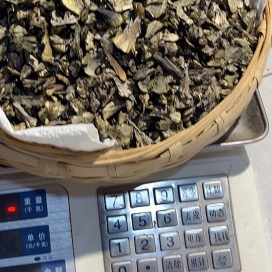 干巴菌超好吃中国大陆