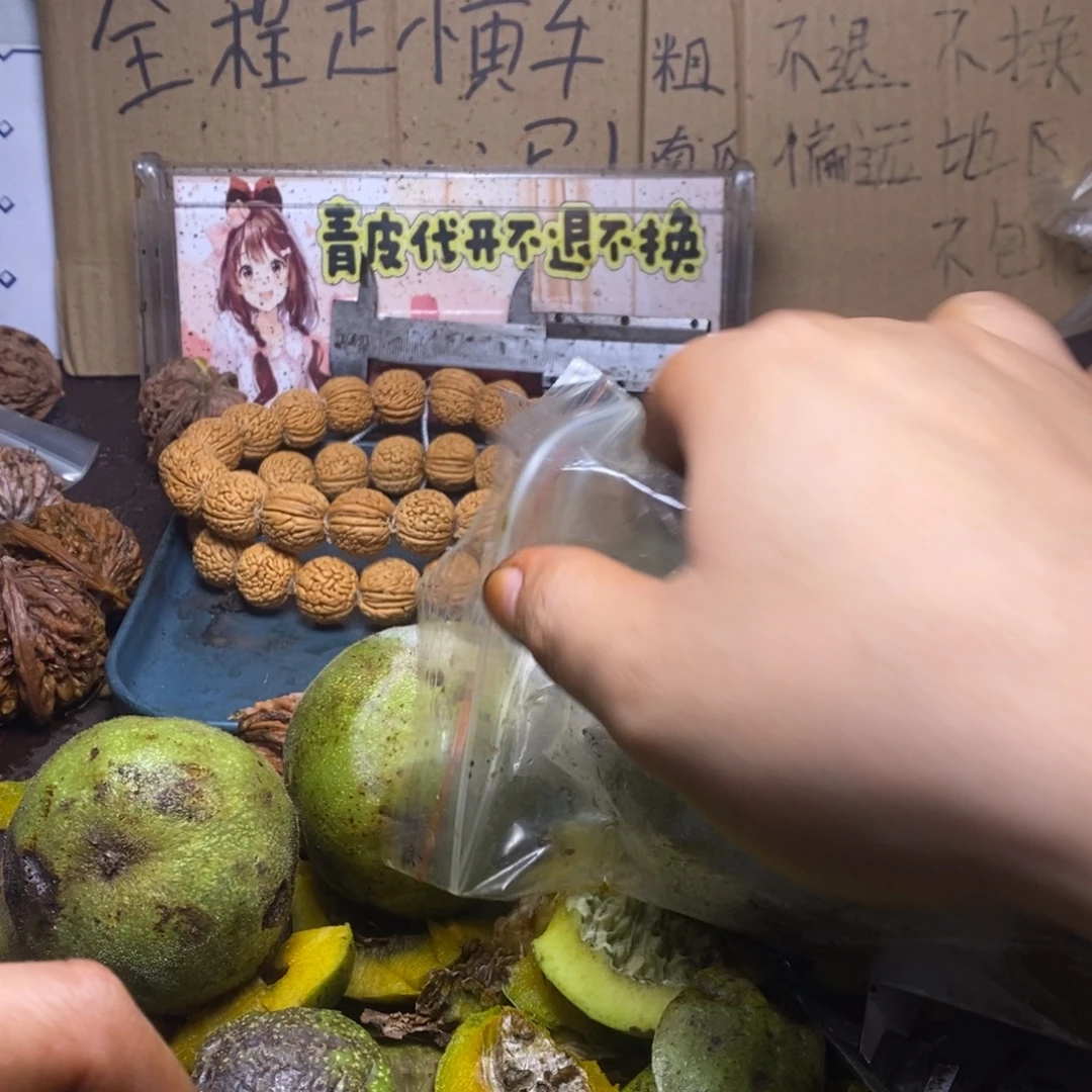 zwf产地直发白狮子76