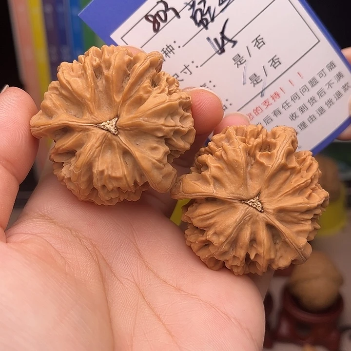 文玩核桃手捻核桃803