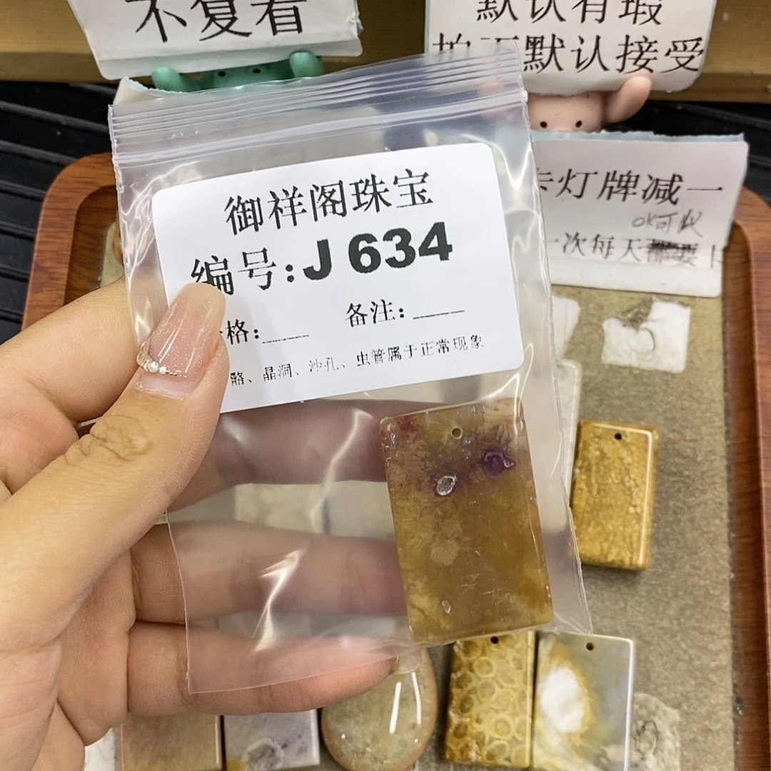 硅化珊瑚（珊瑚玉）未镶嵌颈饰进****6