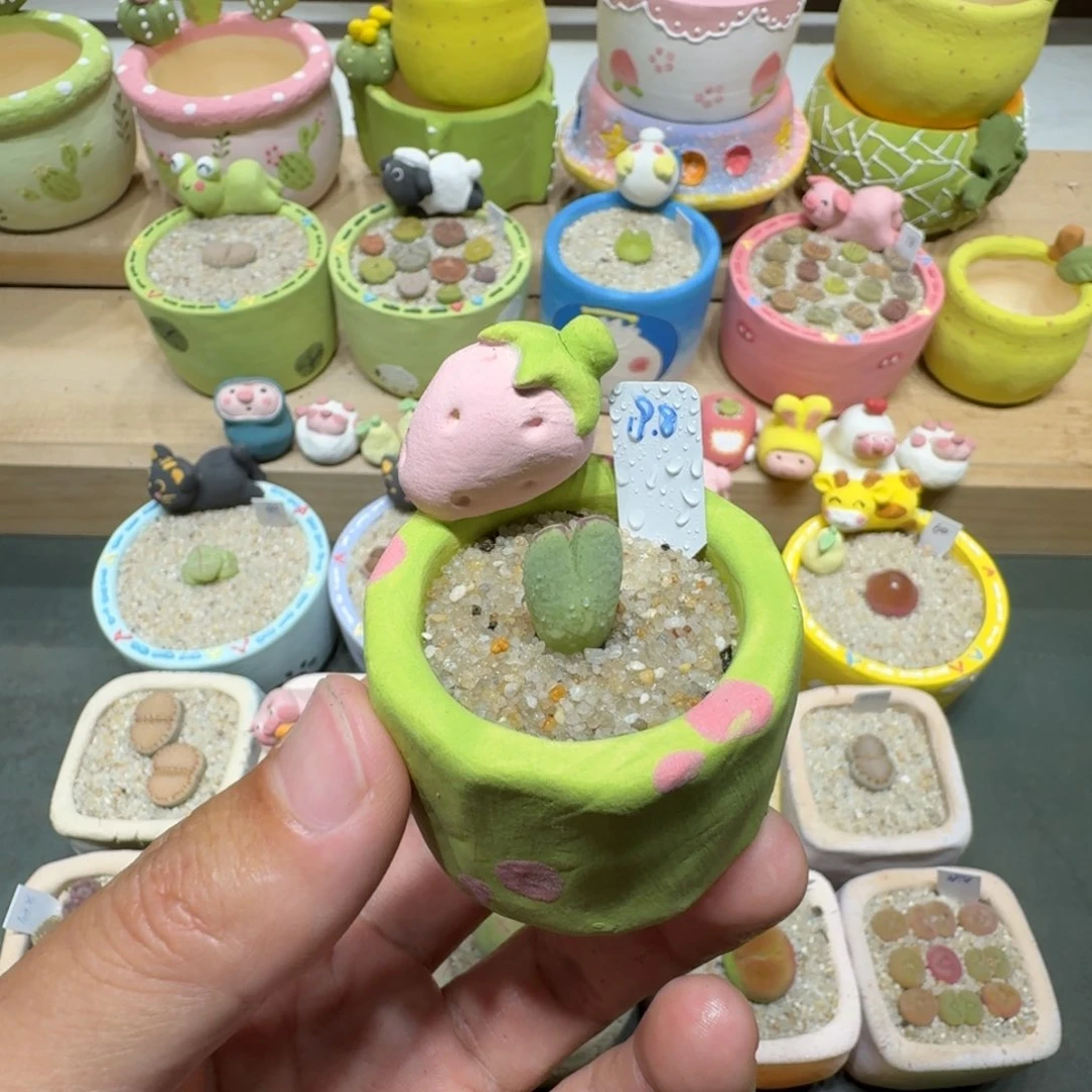 蘑菇266猪蹄猪蹄