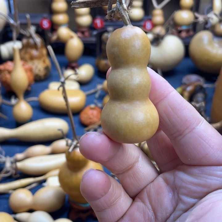 G***s哈哈你也是啊我的好朋友我的小