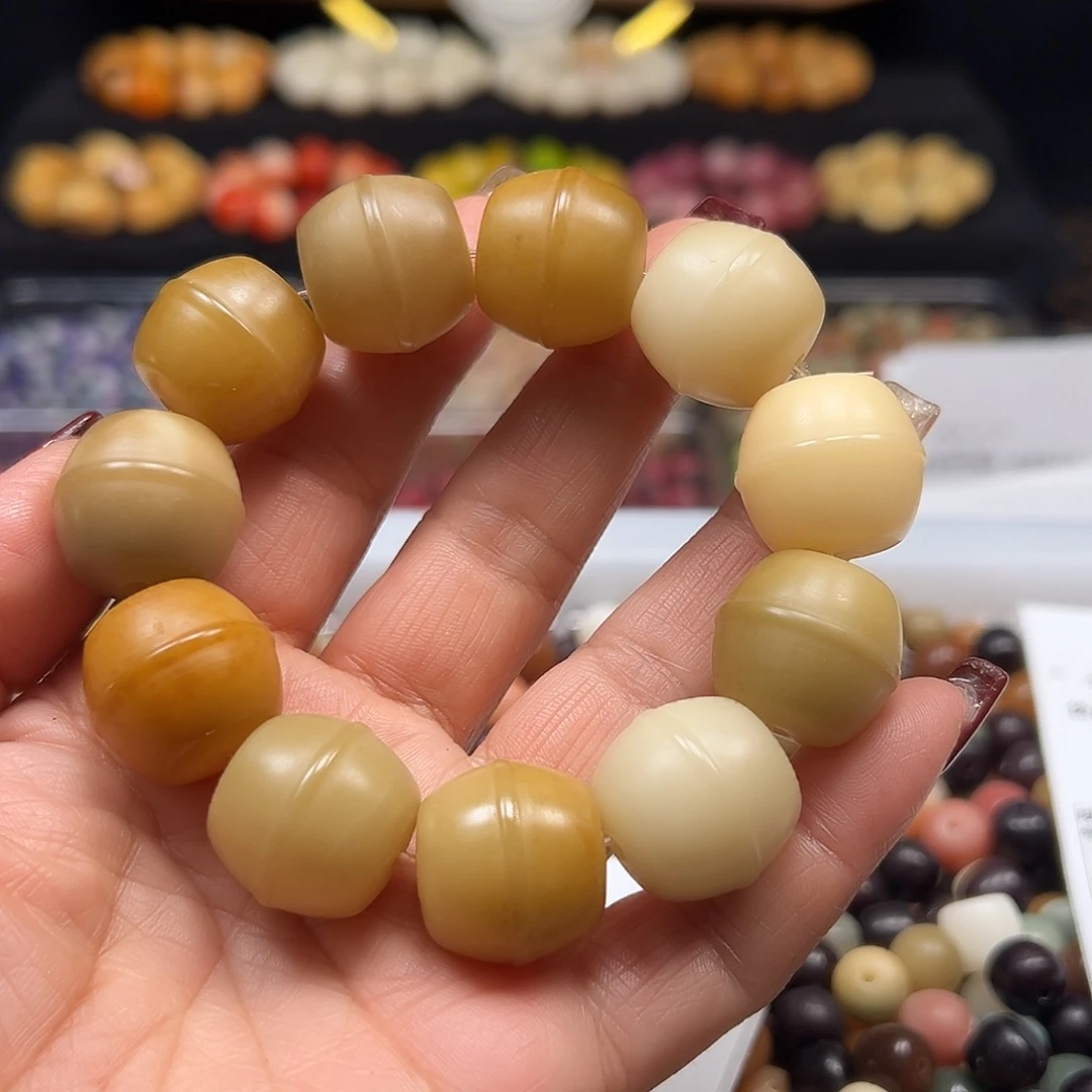 手串菩提根/象牙果通货卡10大蜜罐一条