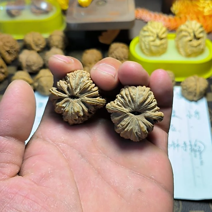 P***s四座楼全品无修的