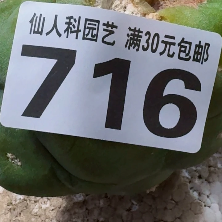 大***雄无花朵福利落地大尤716