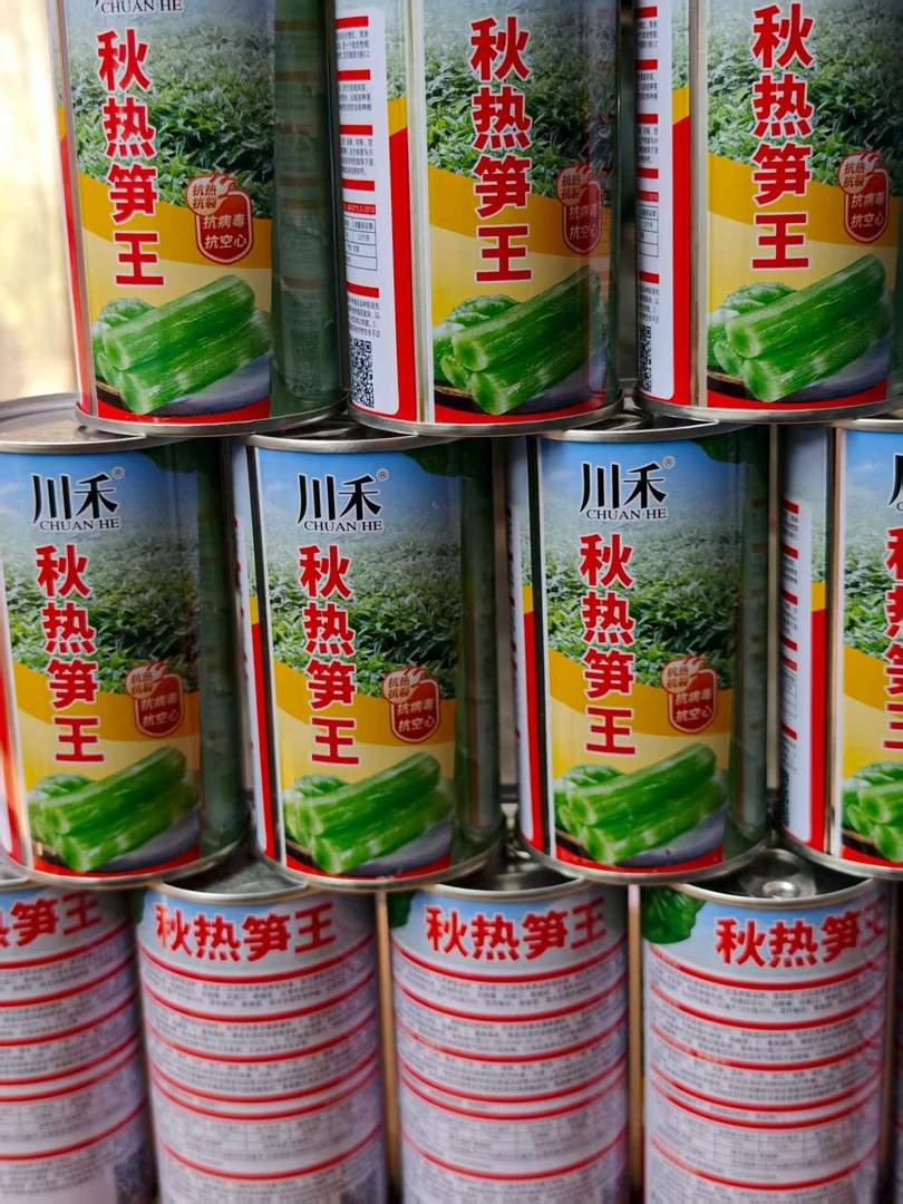 川禾秋热笋王莴笋种子青皮青肉红尖叶抗空心抗裂口抗病毒二红耐抽