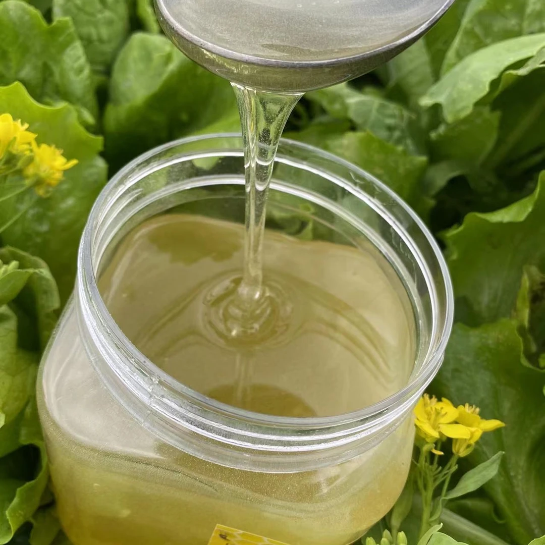 【主播甄选】洋槐蜂蜜 4瓶