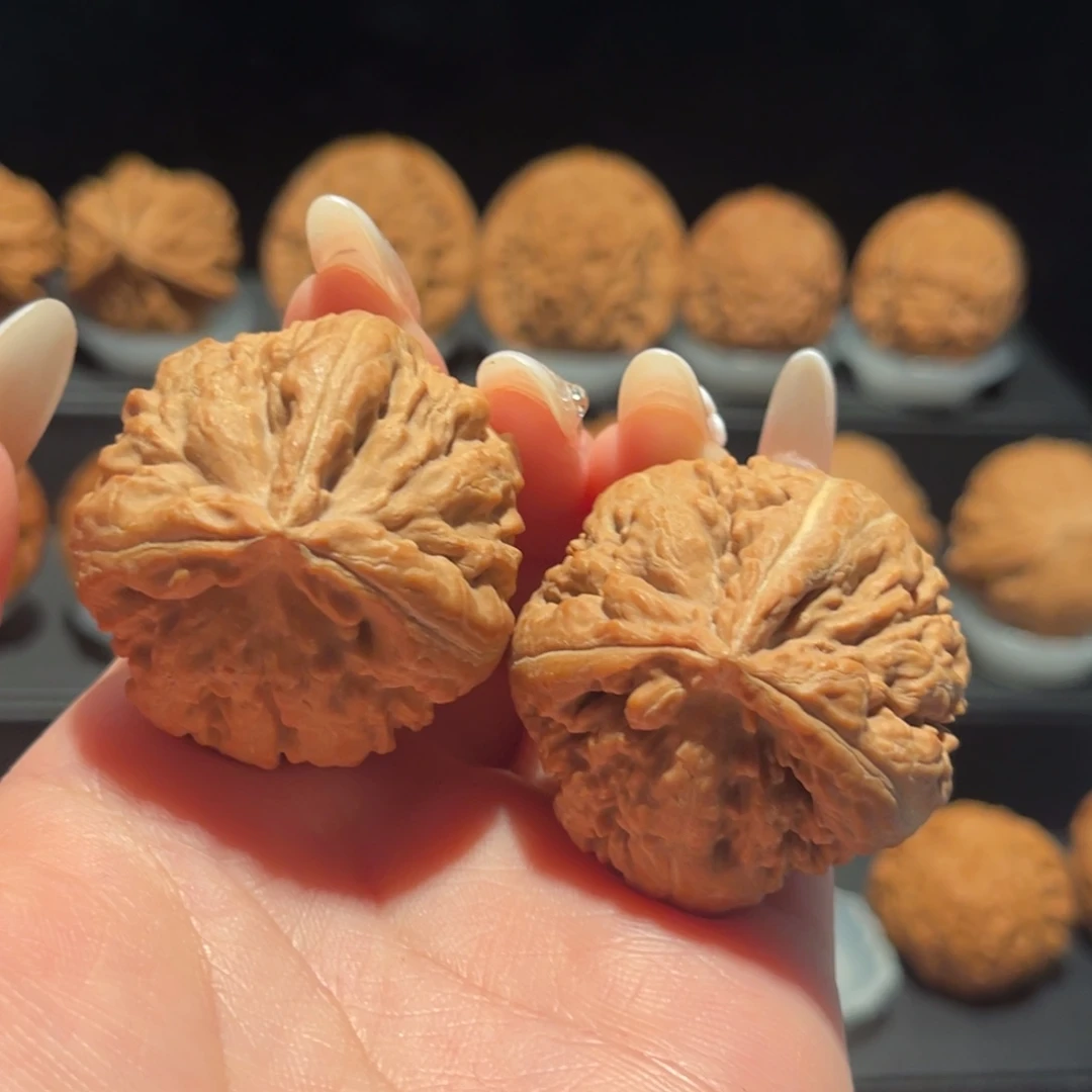 二***秀霸王龙三棱精品，全品