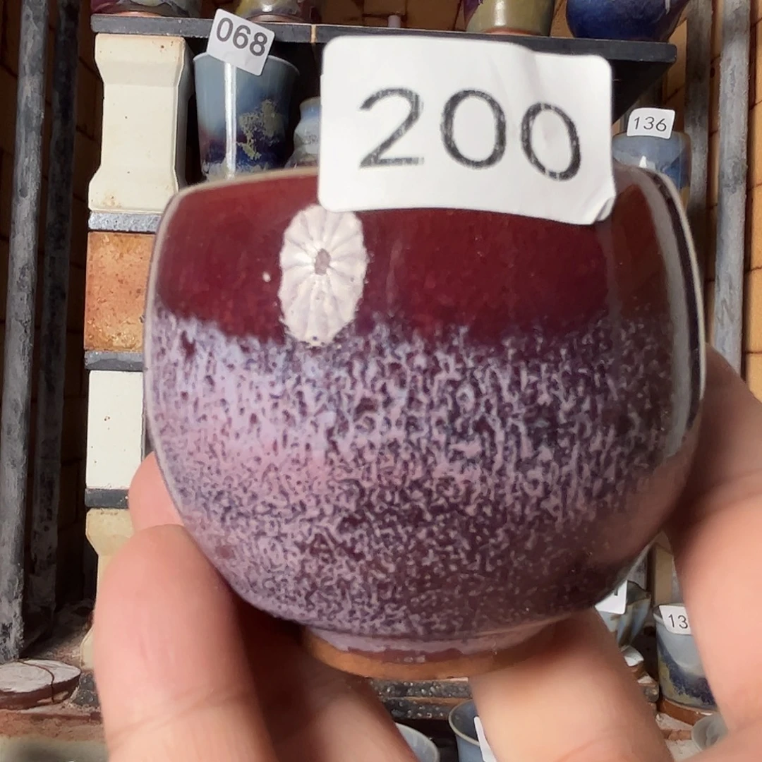 用***8瓷片好的我真的是太喜欢了200