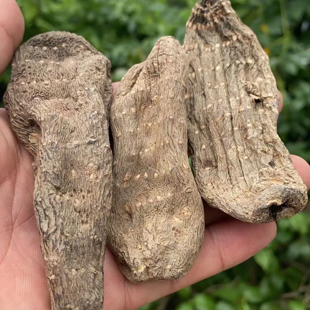 天麻乌天麻泡酒煲汤1