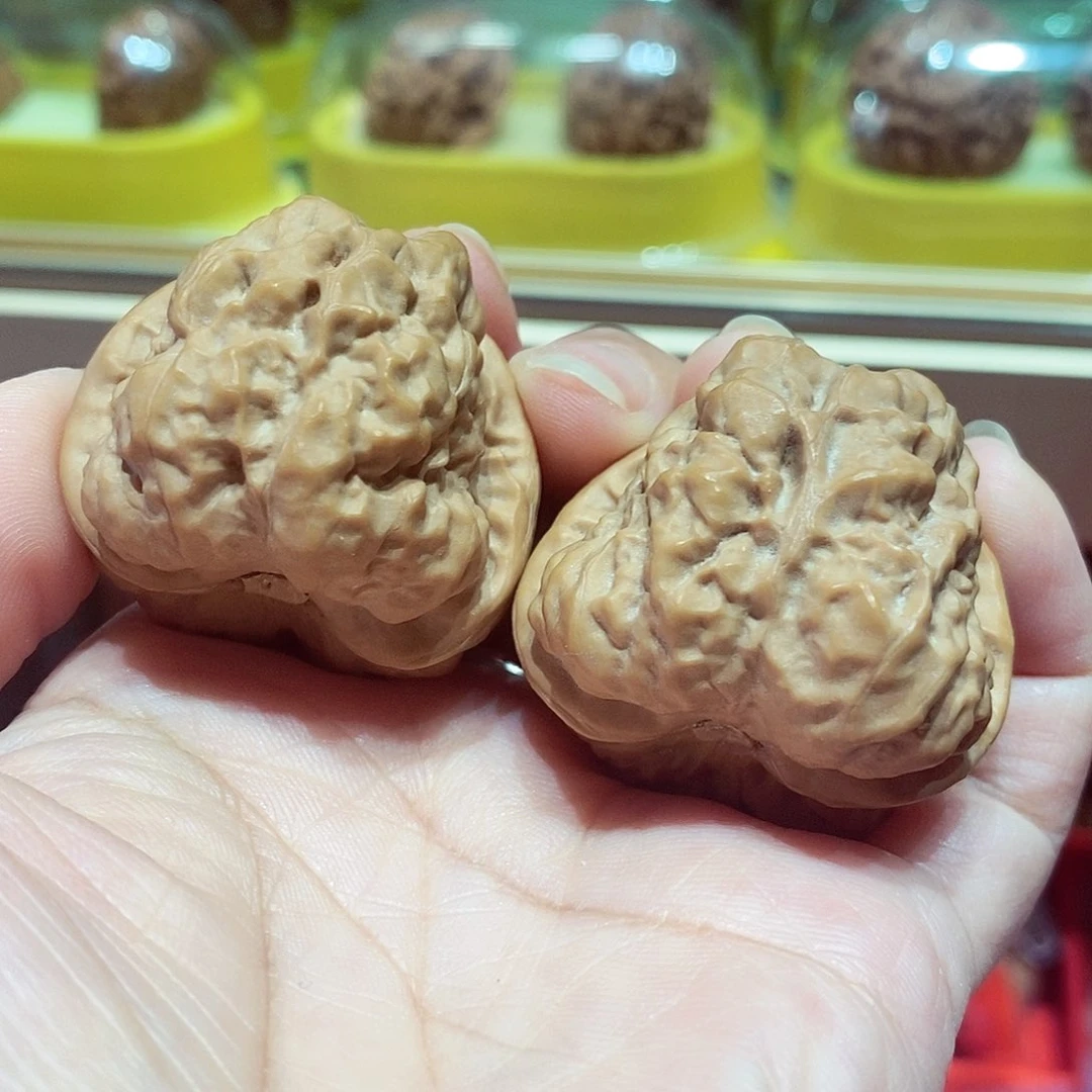 橄榄核手串/手链蛤蟆头37尺寸