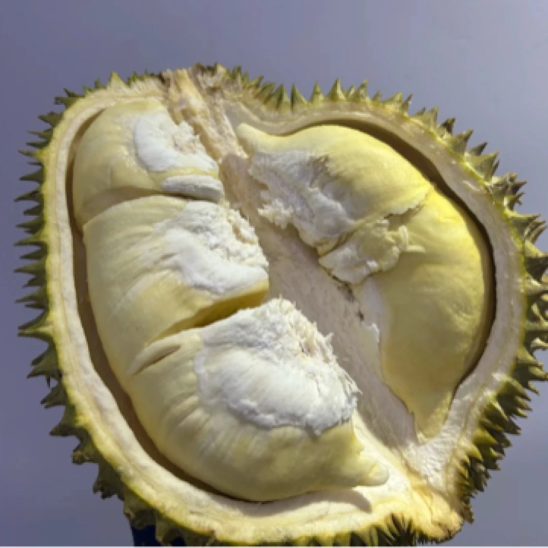 越南新鲜金枕榴莲1个3-10斤核小金枕越南