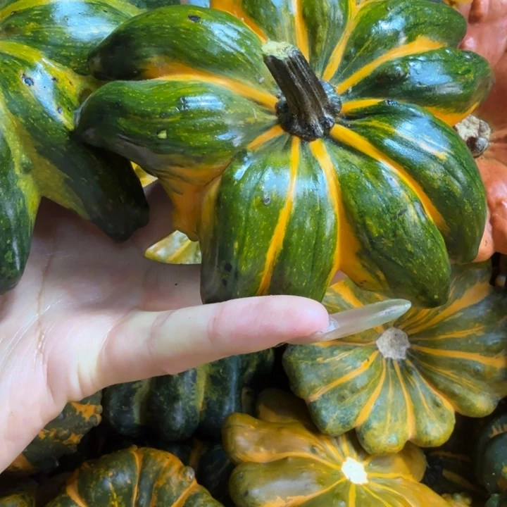 等****饿哦饿哦饿哦饿哦饿哦