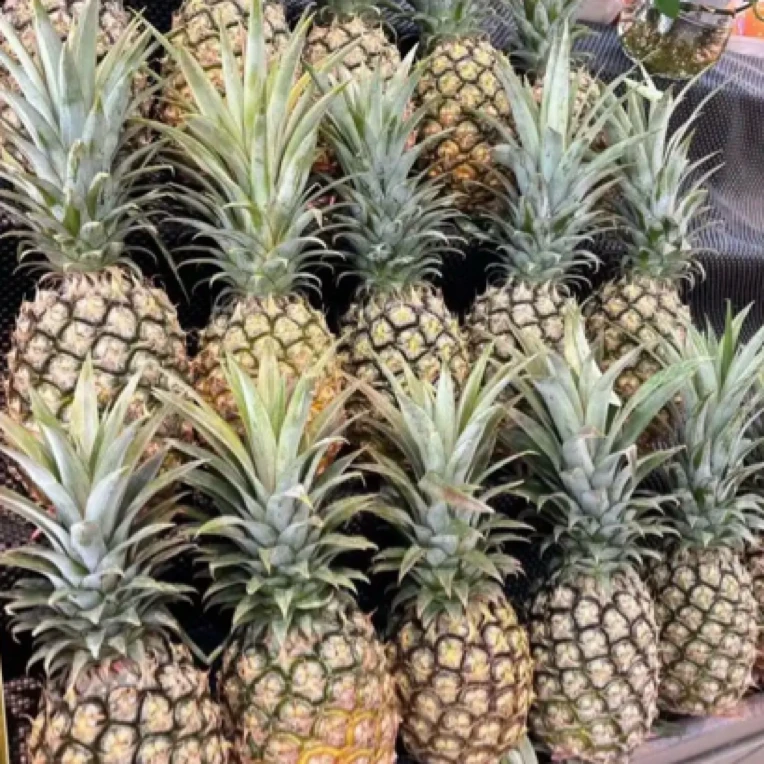 【整果】菠萝2.5斤-2.8斤l1个