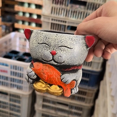 ····全是福利····