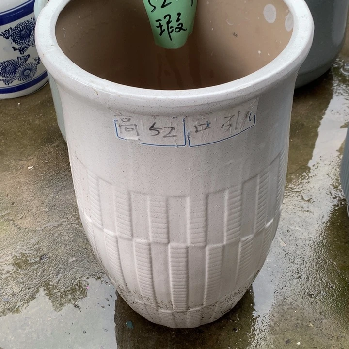 花盆里的小猫咪们都好可爱啊