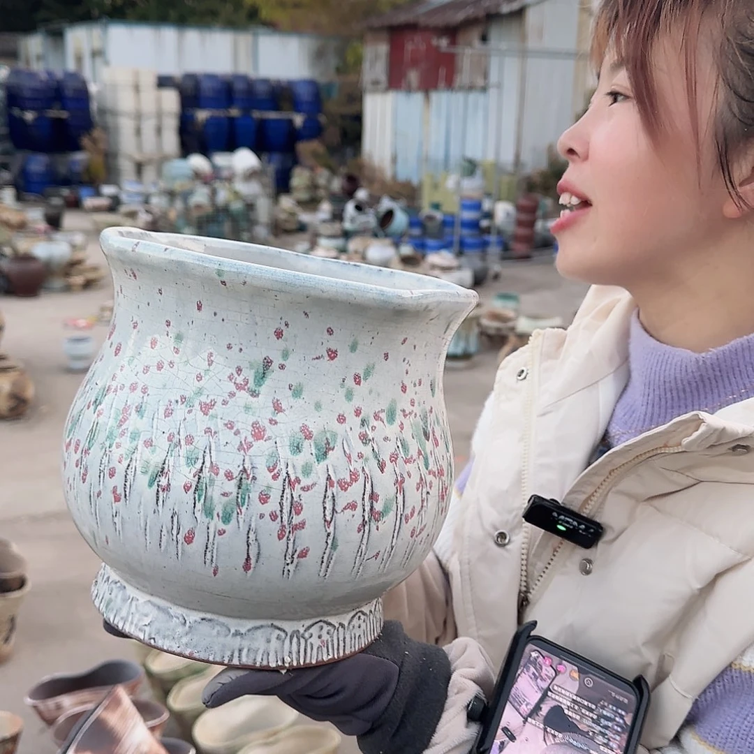 王嫂花盆1209-305高20口20