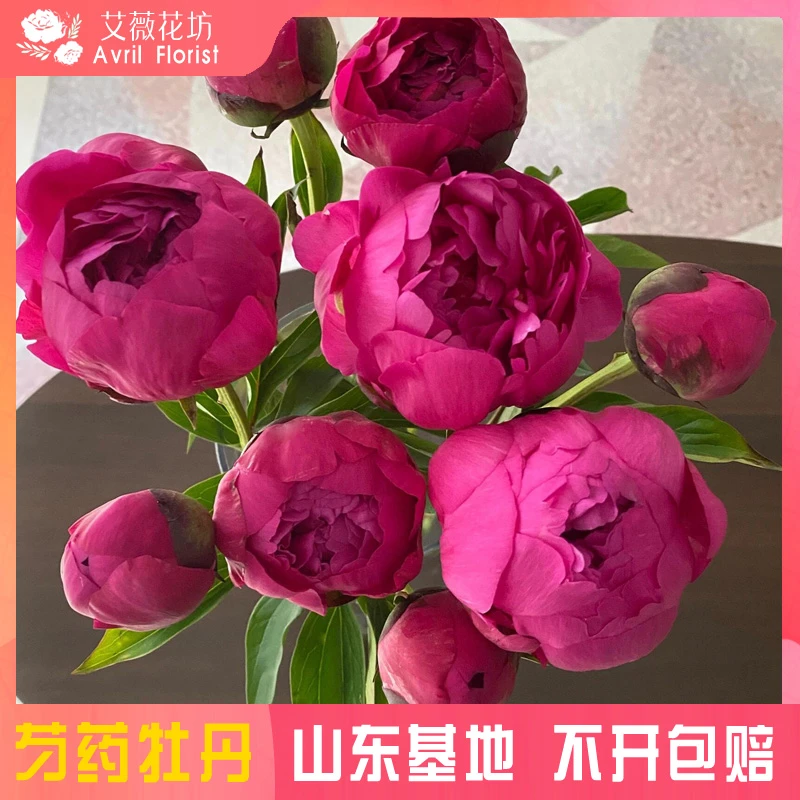 『母亲节专属-红富士』芍药鲜花  芍药鲜切花 山东基地直发
