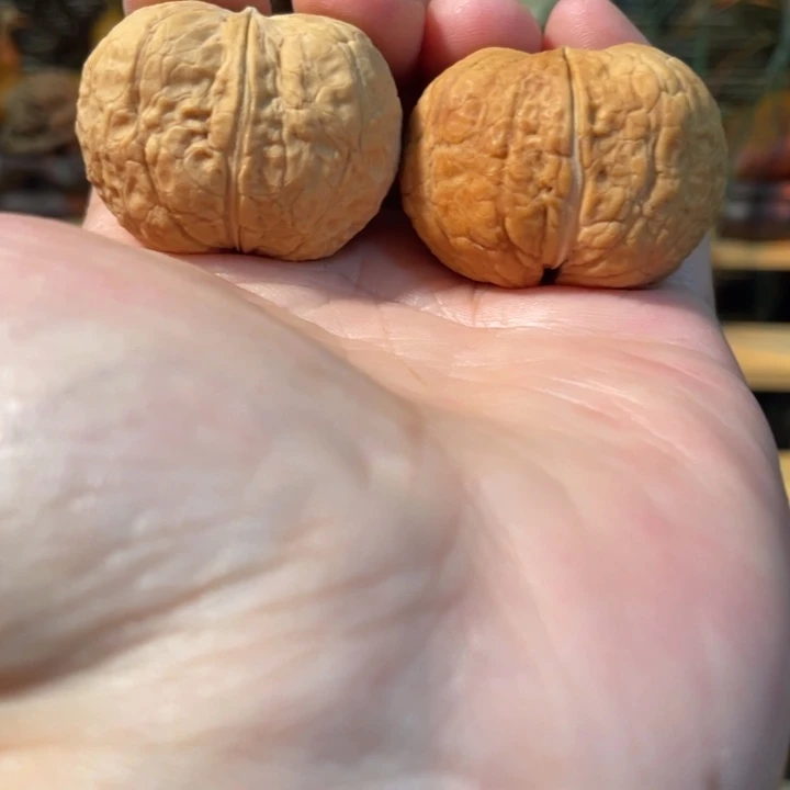 一***意文玩核桃把件编号83