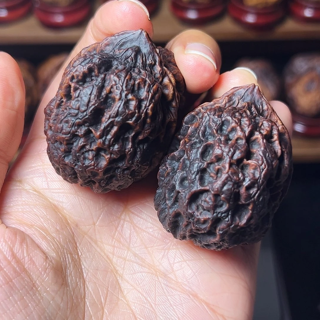 每***好                   霸王龙