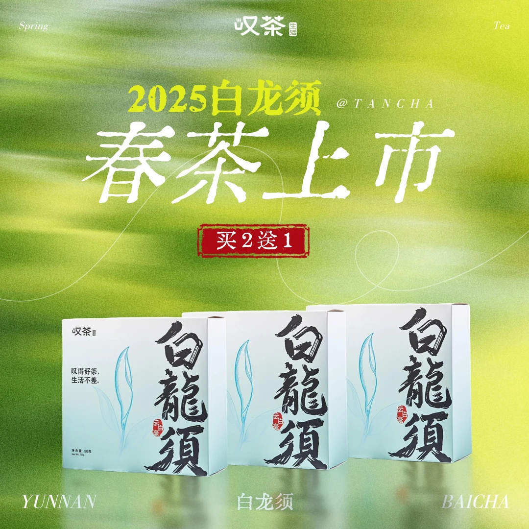 【雪山白茶】爆款白龙须25年春茶云南大叶种白茶白毫银针非福鼎白茶