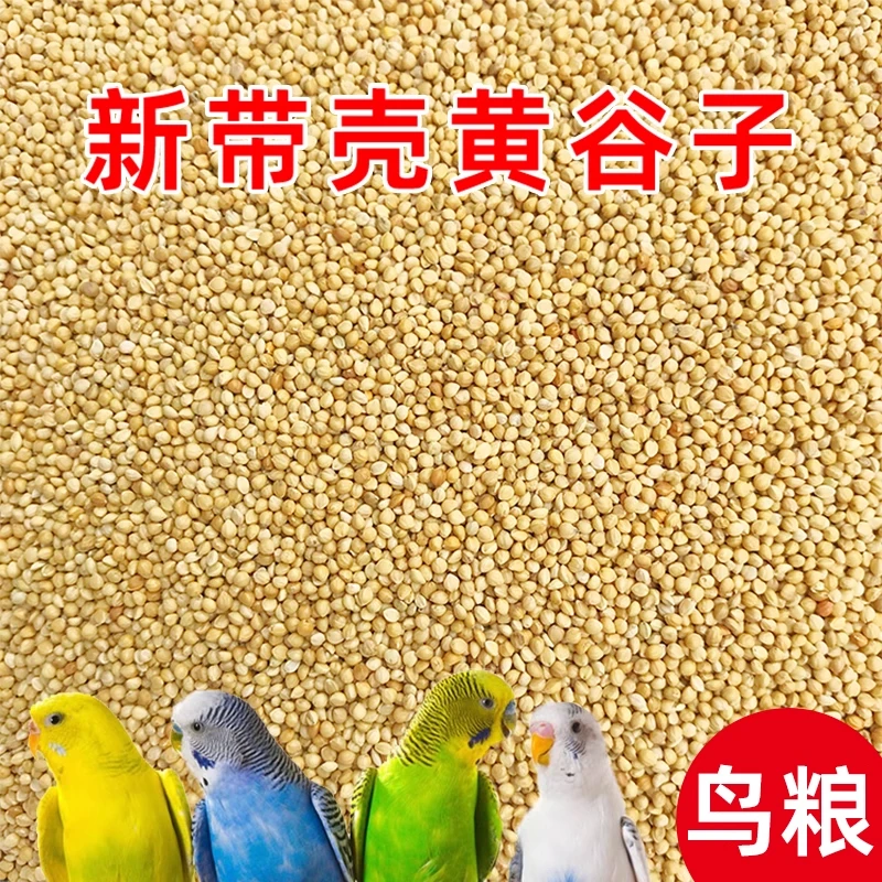新黄谷子带壳小米玄凤鹦鹉鸟粮虎皮牡丹等中小型鸟专用食粮
