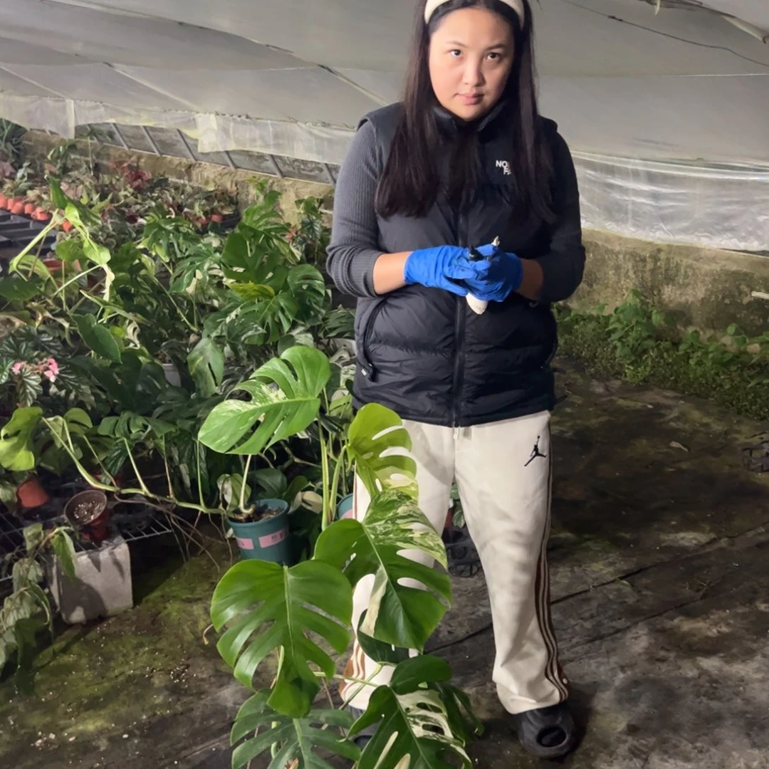 不***d完全开放一物一拍