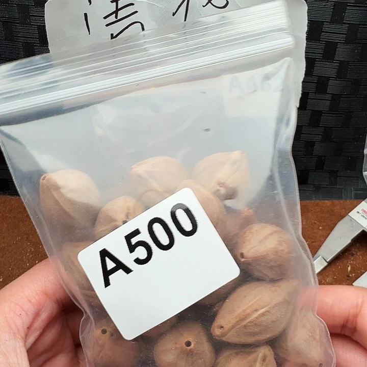 杰***橄榄核手串/手链橄榄