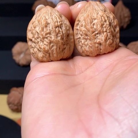 文玩核桃全品金钱豹尺31