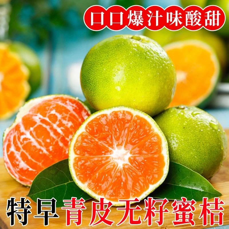 新鲜青皮蜜桔酸甜多汁现摘现发时令水果早熟柑橘整箱橘子桔子包邮