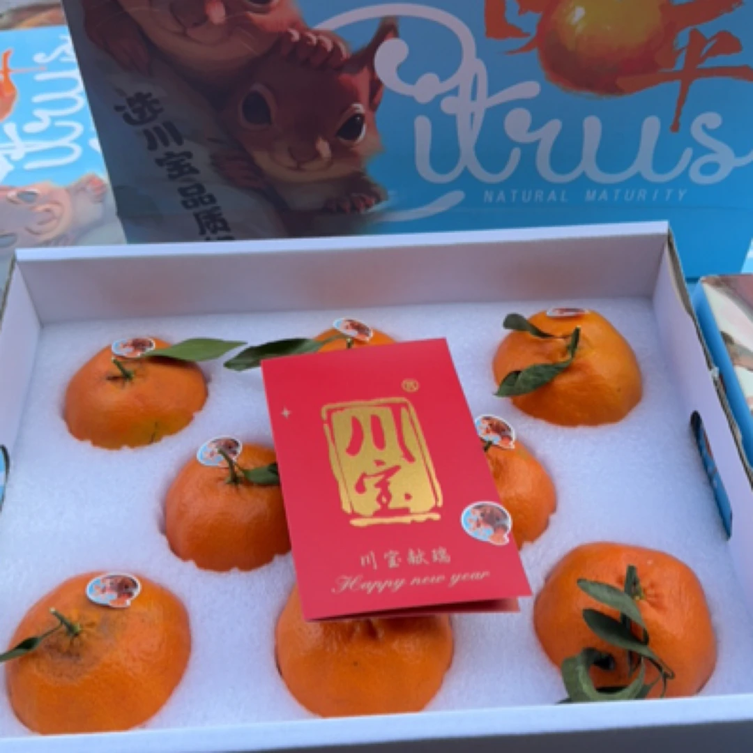 甘平礼盒 大果八粒装蓝箱