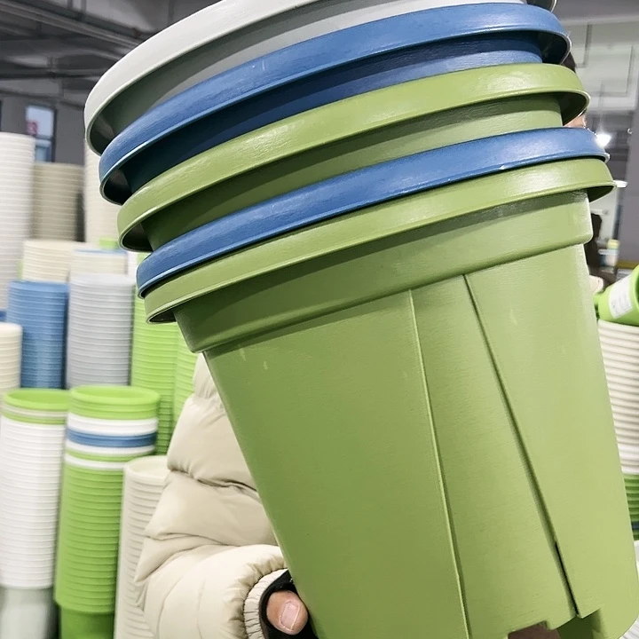 正品青山口32高28果绿色5个无托