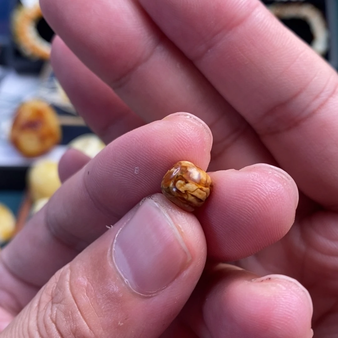 裸石蜜蜡未镶嵌8.1沁色虎皮纹