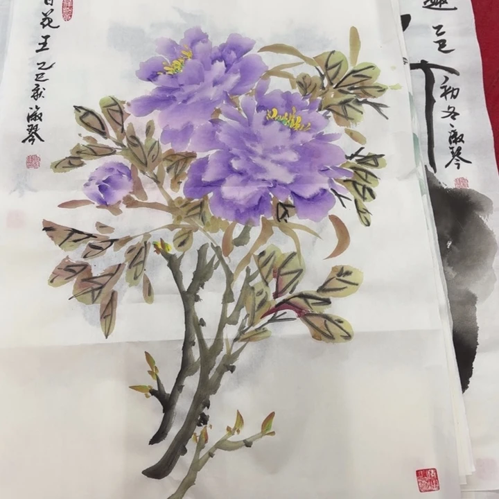 国画花鸟的翅膀和翅膀是一样的