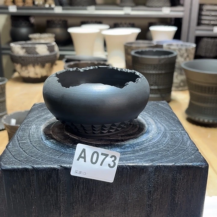 特惠内口10高6.5块根植物