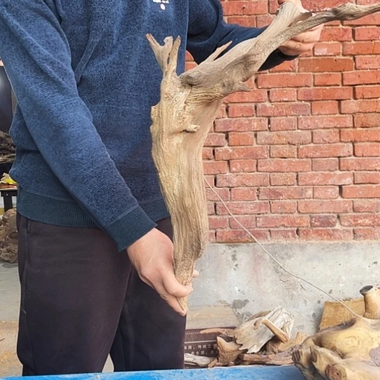 奔***风香榧木崖柏崖柏崖柏