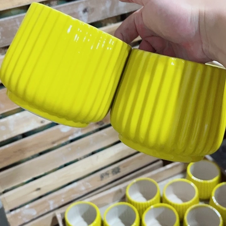 多肉植物陶瓷花盆