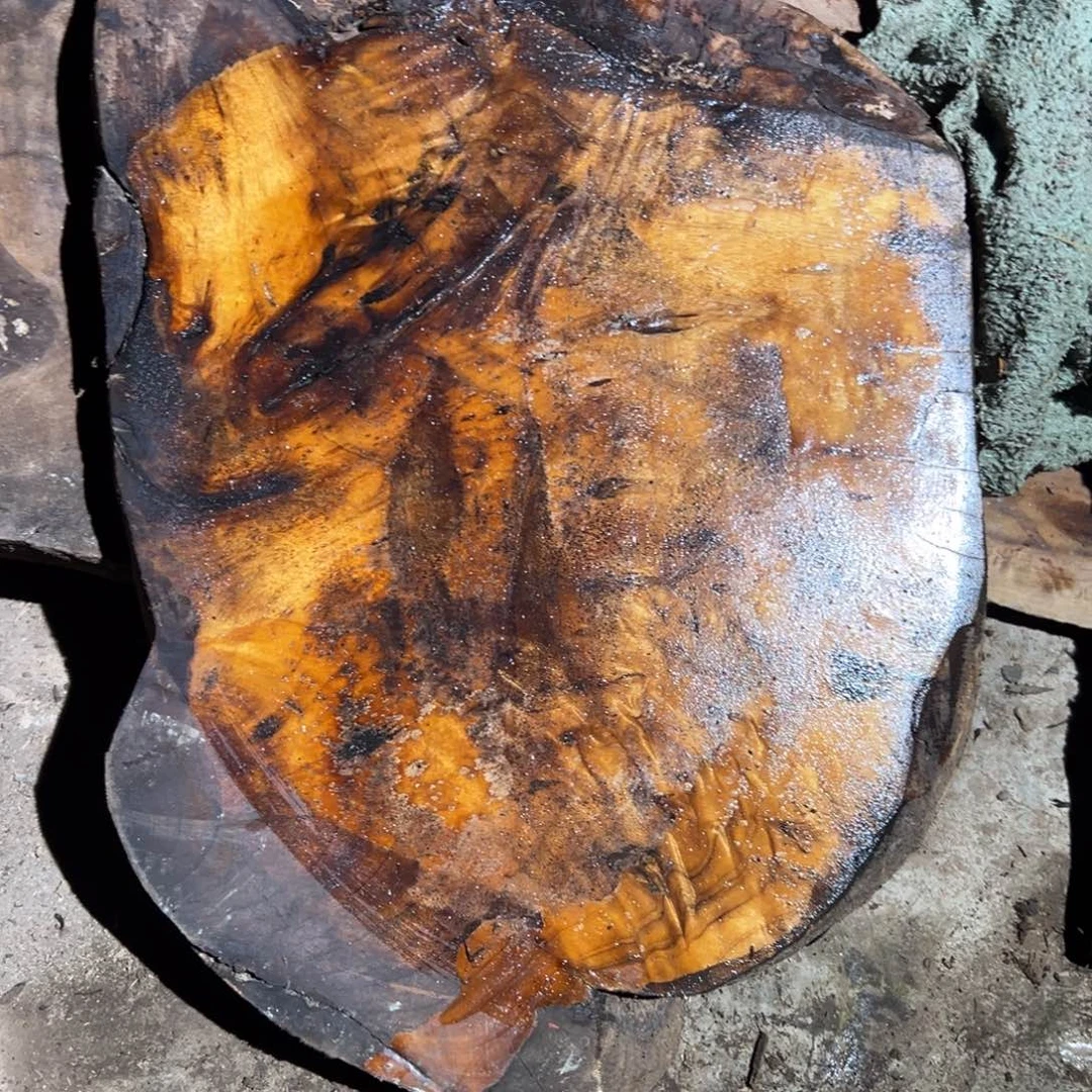 金丝楠黄*斌11111111111111111